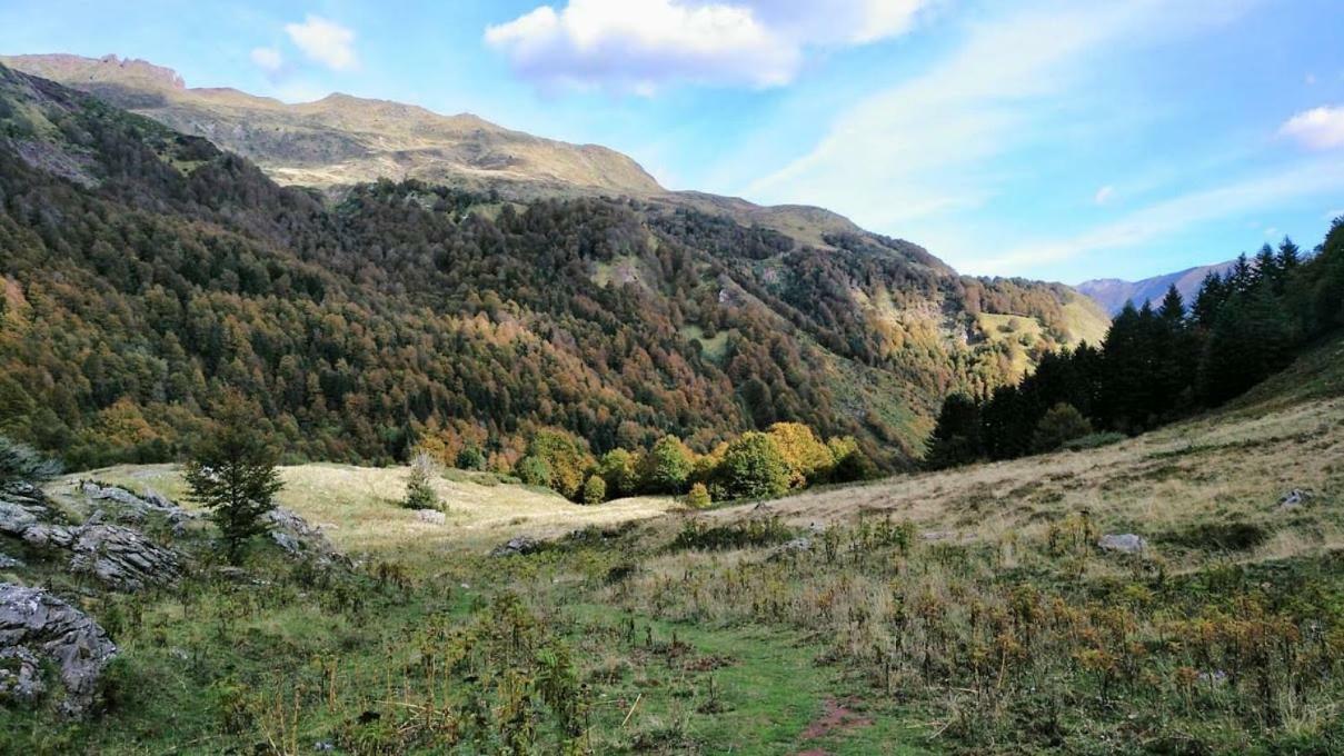 Appartamento Aranones Canfranc Esterno foto